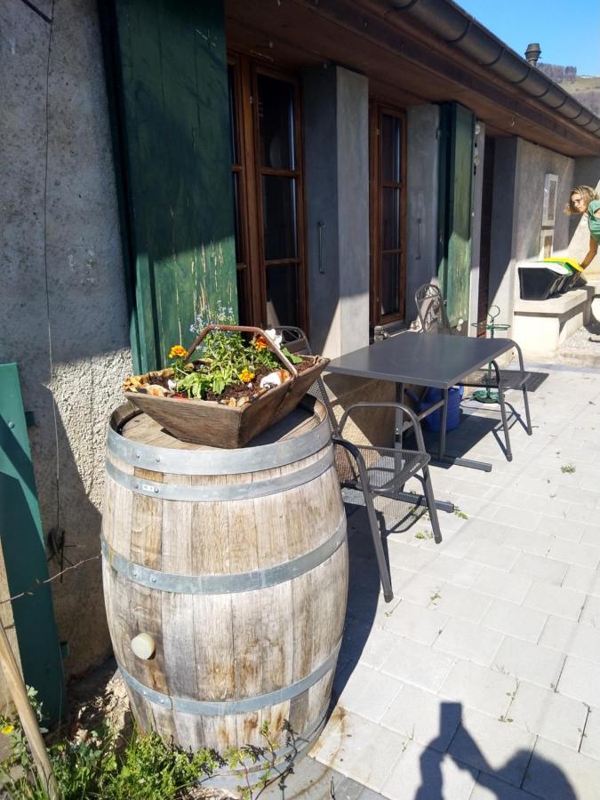 Charmante maison indépendante au coeur du Lavaux, Cully, cuisine, WiFi Esterno foto